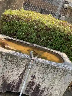 妻崎神社の手水舎