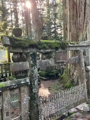 高野山金剛峯寺奥の院(和歌山県)