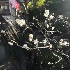 尾久八幡神社の自然