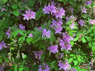 廣田神社(兵庫県)