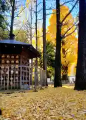 鳩森八幡神社(東京都)