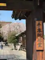 大報恩寺(千本釈迦堂)の{uncategorized: "未分類", other: "その他", undefined: "問題あり", building: "その他建物", grave: "お墓", sacred_gate: "鳥居", guardian: "狛犬", statue: "像", buddha: "仏像", history: "歴史", nature: "自然", garden: "庭園", animal: "動物", pagoda: "塔", temizu: "手水舎", mountain_gate: "山門・神門", sanctuary: "本殿・本堂", subordinate: "末社・摂社", art: "芸術", scenery: "景色", jizo: "地蔵", ema: "絵馬", goshuin: "御朱印", omikuji: "おみくじ", items: "授与品その他", amulet: "お守り", goshuincho: "御朱印帳", eats: "食事", festival: "お祭り", votive_dance: "神楽", shichigosan: "七五三参", wedding: "結婚式", experience: "体験その他", initially: "初詣", around: "周辺", anti_infection: "感染症対策"}