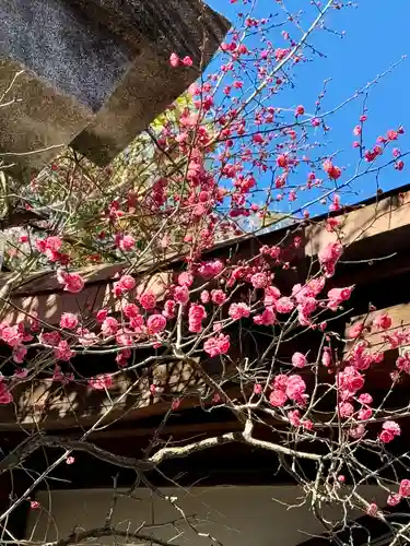 牛天神北野神社(東京都)