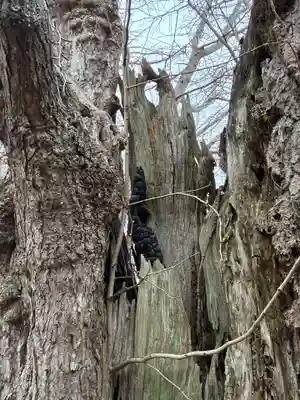 来迎寺(千葉県)