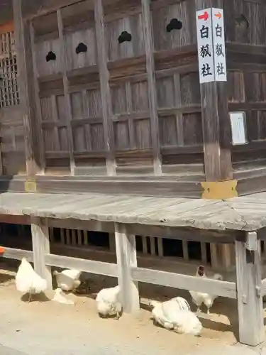 高屋敷稲荷神社(福島県)