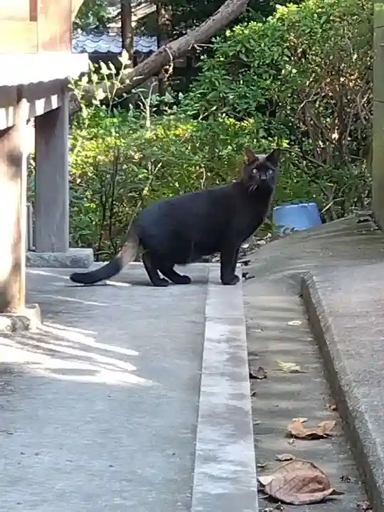 久米寺(奈良県)
