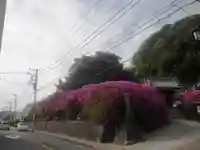 安養院 (田代寺)の周辺