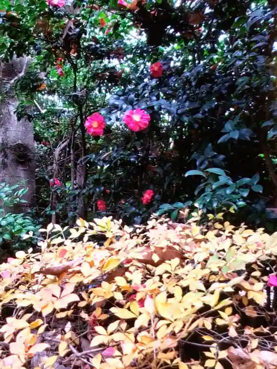 高円寺(東京都)