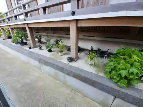 龍蟠寺のその他建物