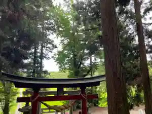 大宮温泉神社(栃木県)(2023年07月03日(月) 08時08分56秒投稿)