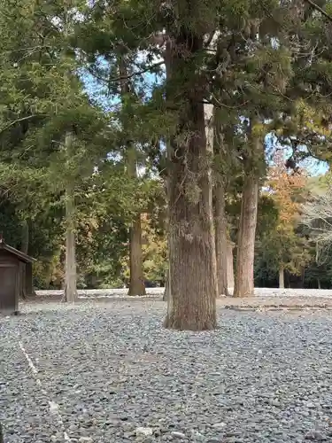 伊勢神宮外宮（豊受大神宮）(三重県)