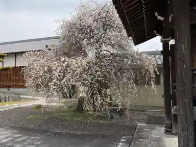 慈眼寺(愛知県)