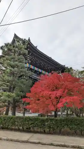 くろ谷 金戒光明寺(京都府)