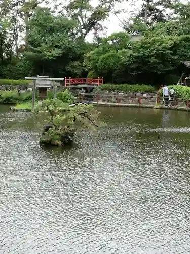 越ヶ谷久伊豆神社の庭園