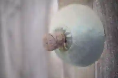 正福寺のその他建物