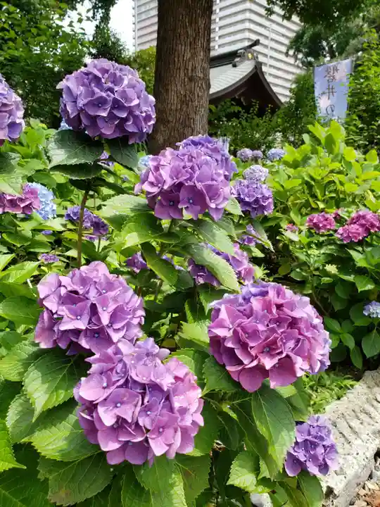 磐井神社(東京都)