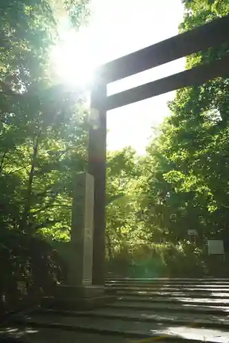 北海道神宮の鳥居