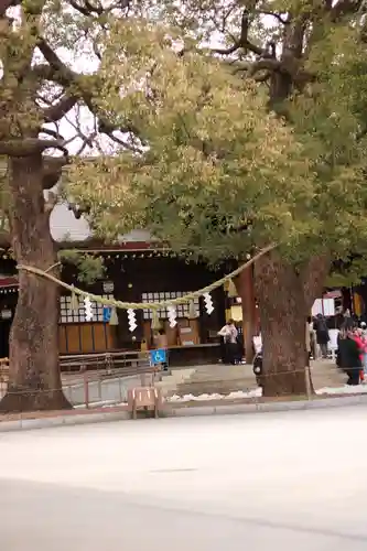 明治神宮(東京都)