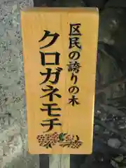 金札宮の建物その他