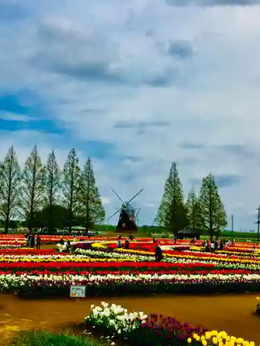 布施弁天 東海寺の周辺