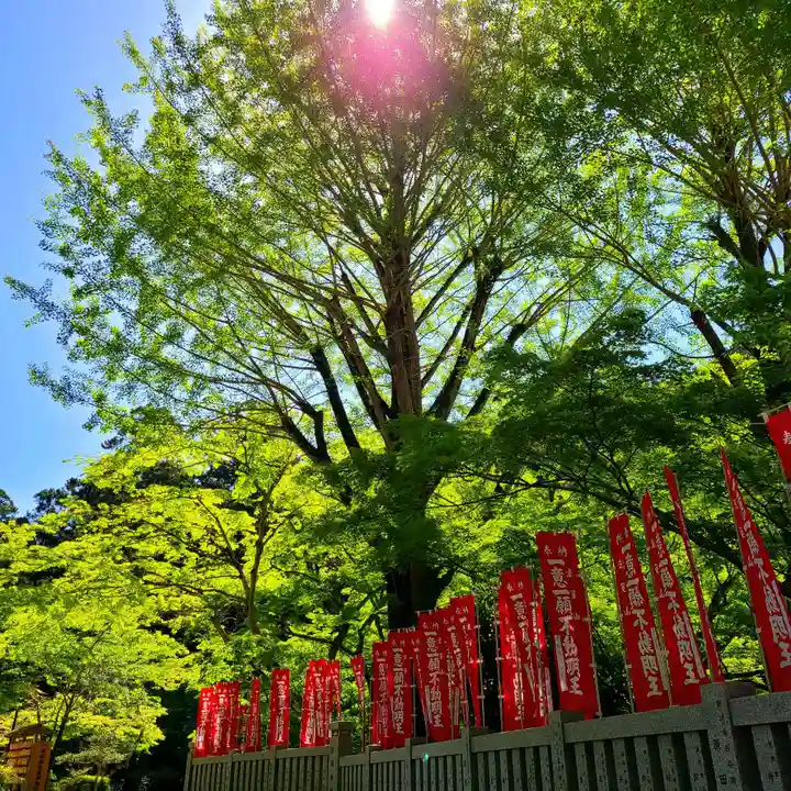 尊永寺(静岡県)