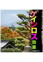 耕田院(山形県)