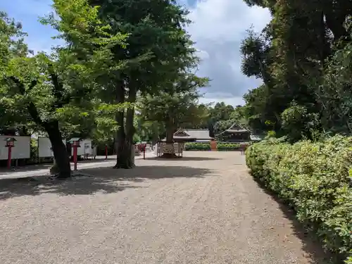 鷲宮神社(埼玉県)