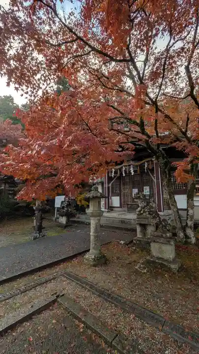 若山神社(大阪府)