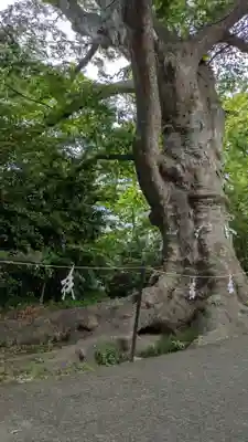 愛宕神社(福島県)