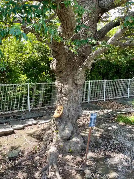 真勝院(東京都)