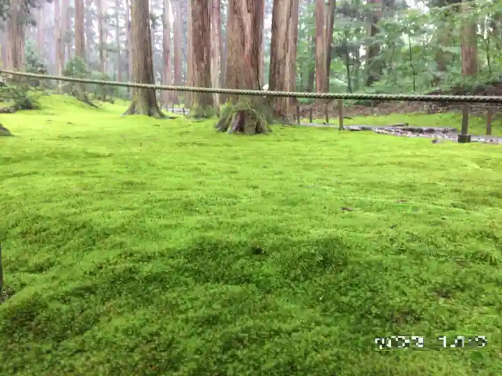平泉寺白山神社(福井県)