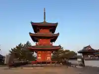遍照院の{uncategorized: "未分類", other: "その他", undefined: "問題あり", building: "その他建物", grave: "お墓", sacred_gate: "鳥居", guardian: "狛犬", statue: "像", buddha: "仏像", history: "歴史", nature: "自然", garden: "庭園", animal: "動物", pagoda: "塔", temizu: "手水舎", mountain_gate: "山門・神門", sanctuary: "本殿・本堂", subordinate: "末社・摂社", art: "芸術", scenery: "景色", jizo: "地蔵", ema: "絵馬", goshuin: "御朱印", omikuji: "おみくじ", items: "授与品その他", amulet: "お守り", goshuincho: "御朱印帳", eats: "食事", festival: "お祭り", votive_dance: "神楽", shichigosan: "七五三参", wedding: "結婚式", experience: "体験その他", initially: "初詣", around: "周辺", anti_infection: "感染症対策"}