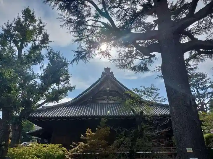 寛永寺(根本中堂)(東京都)
