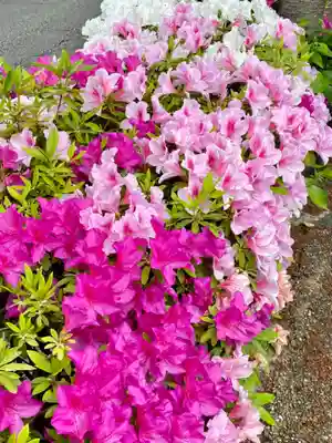 安井金比羅宮(京都府)