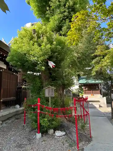 三輪神社(愛知県)