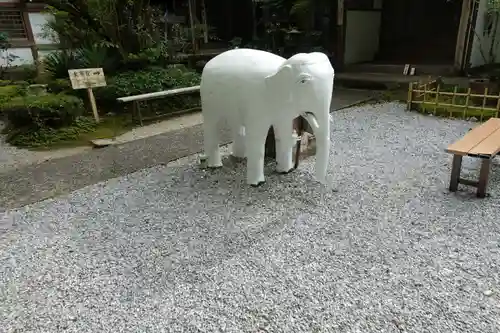 華厳寺の狛犬