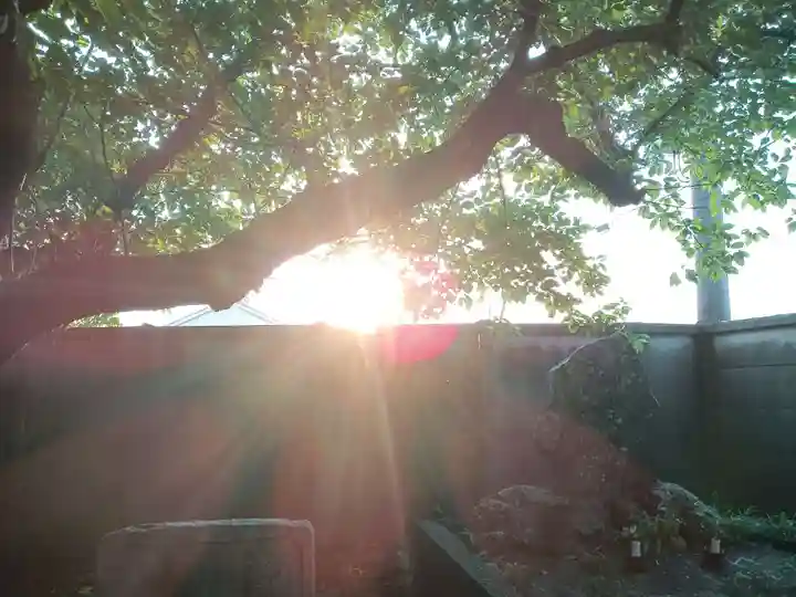 岡山戎神社のその他建物
