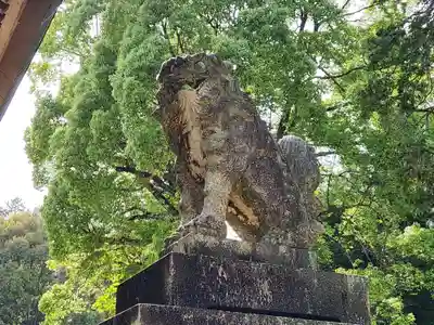 稲荷神社の狛犬