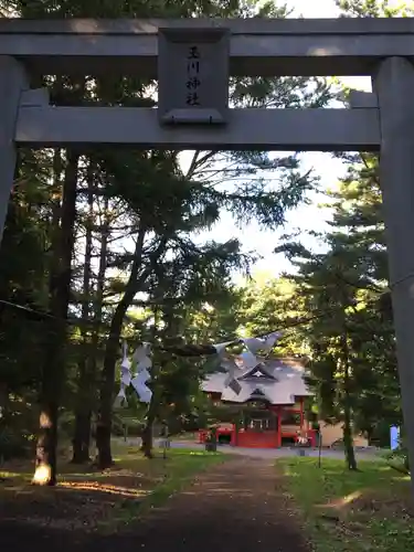 玉川神社の鳥居