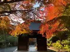 普門寺(切り絵御朱印発祥の寺)(愛知県)