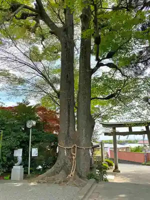 比々多神社のその他建物