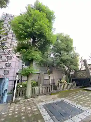 高輪神社(東京都)