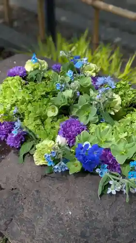 新琴似神社(北海道)
