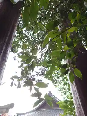 立志神社(滋賀県)