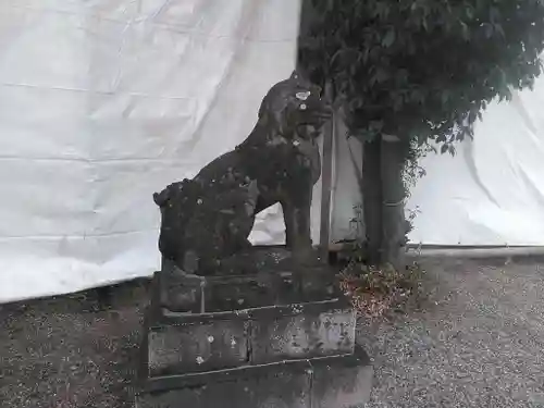 八尾天満宮の狛犬