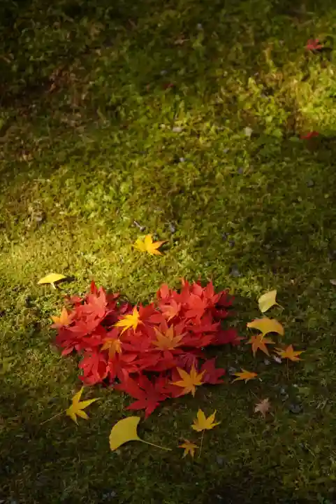 今熊野観音寺(京都府)
