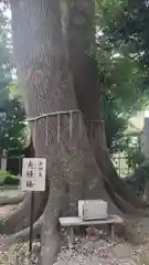 鳩ヶ谷氷川神社(埼玉県)