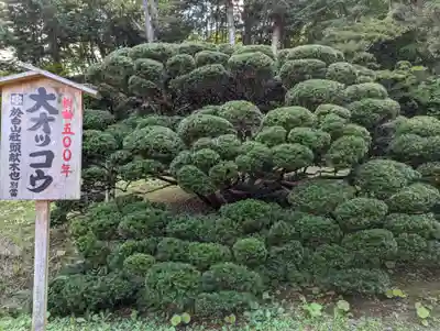 達谷窟毘沙門堂(岩手県)