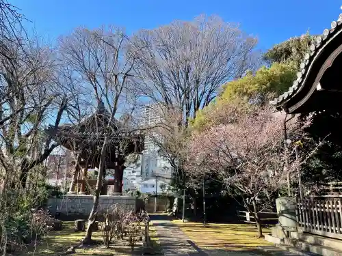法明寺の{uncategorized: "未分類", other: "その他", undefined: "問題あり", building: "その他建物", grave: "お墓", sacred_gate: "鳥居", guardian: "狛犬", statue: "像", buddha: "仏像", history: "歴史", nature: "自然", garden: "庭園", animal: "動物", pagoda: "塔", temizu: "手水舎", mountain_gate: "山門・神門", sanctuary: "本殿・本堂", subordinate: "末社・摂社", art: "芸術", scenery: "景色", jizo: "地蔵", ema: "絵馬", goshuin: "御朱印", omikuji: "おみくじ", items: "授与品その他", amulet: "お守り", goshuincho: "御朱印帳", eats: "食事", festival: "お祭り", votive_dance: "神楽", shichigosan: "七五三参", wedding: "結婚式", experience: "体験その他", initially: "初詣", around: "周辺", anti_infection: "感染症対策"}