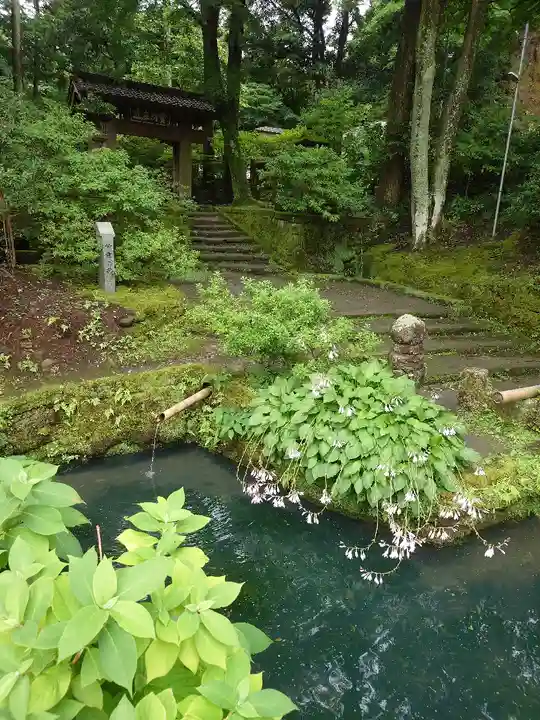 浄智寺(神奈川県)